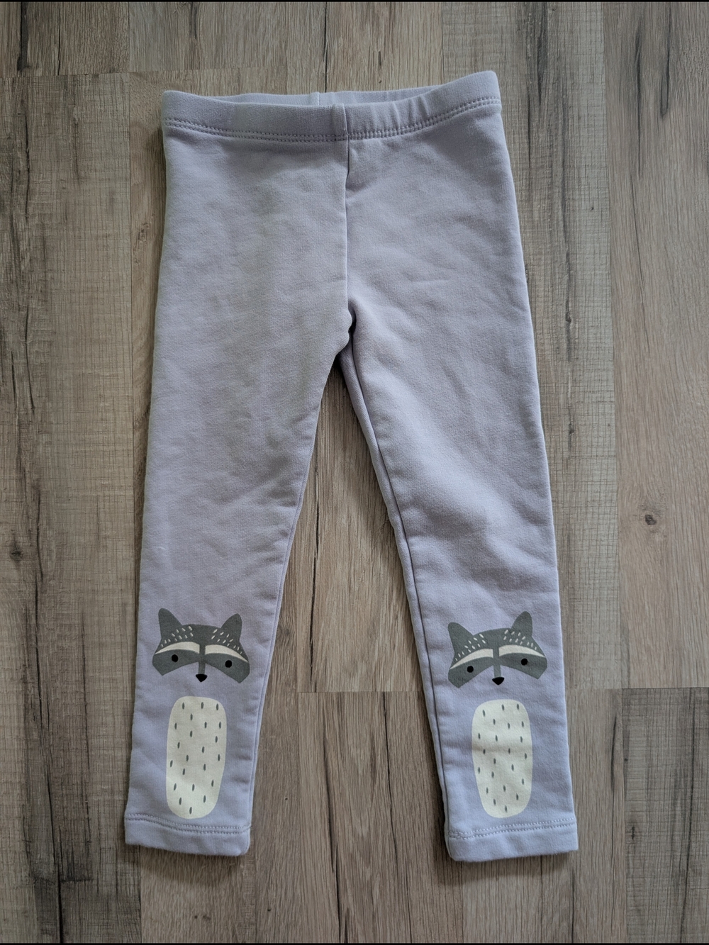 Tea Collection Light Purple Leggings with Raccoon Design, 3T (V9)